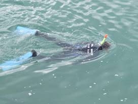 Antalya'da denizde kaybolan çift aranıyor