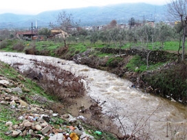 Aralıksız yağış dereleri çoşturdu