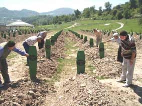 Bosna savaşı suçlusu yakalandı