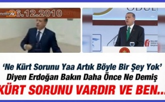 Erdoğan: Türkiye'de Kürt Sorunu Vardır