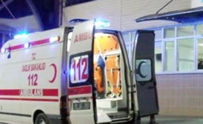 Ağaç budayım derken canından oldu