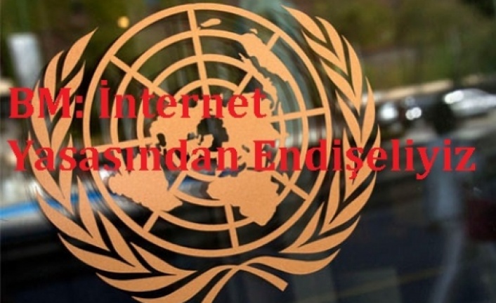 Birleşmiş Milletlerden internet yasasına ilk tepki